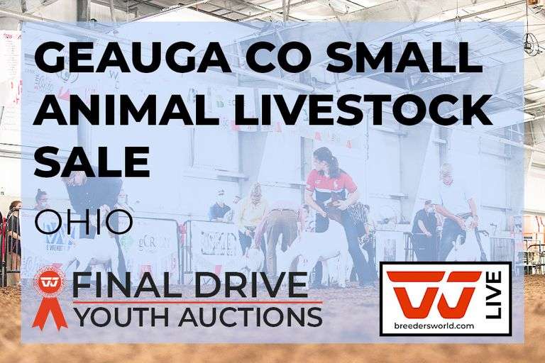 Link to the Geauga Co Small Animal Livestock Sale Final Drive Youth Auctions